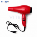 Professional Hair Dryer with Multiple Heat Settings