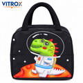 Insulated Lunch Bag for Kids & Office Use